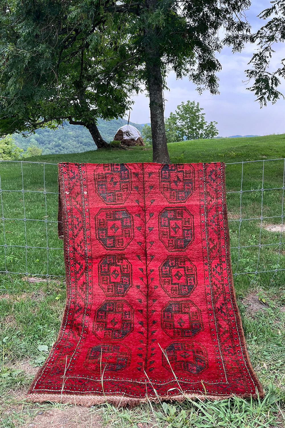 Semi antique Baluch rug from Afghanistan. 236x114 cms