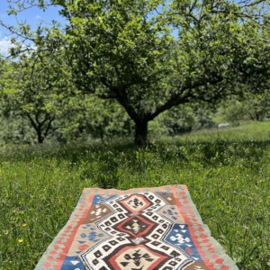 Antique Sirvan kilim from Azerbaijan. 172x110 cms
