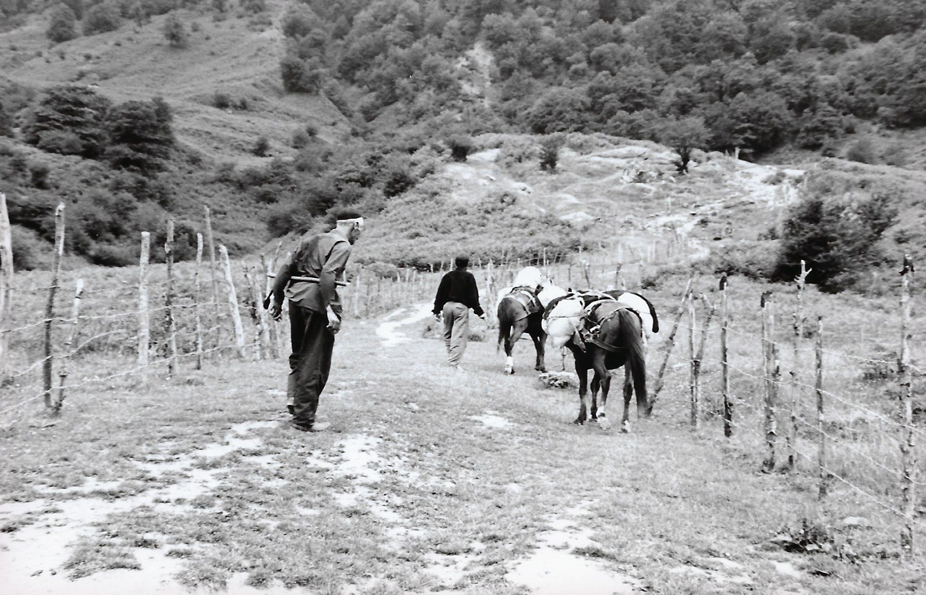 Irán