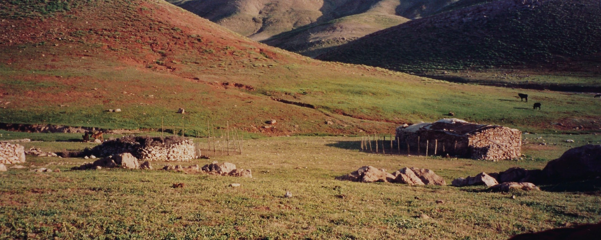 Turquía 10