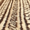 Semi-antique Baluch rug from Afghanistan. 188x135 cms - Image 6