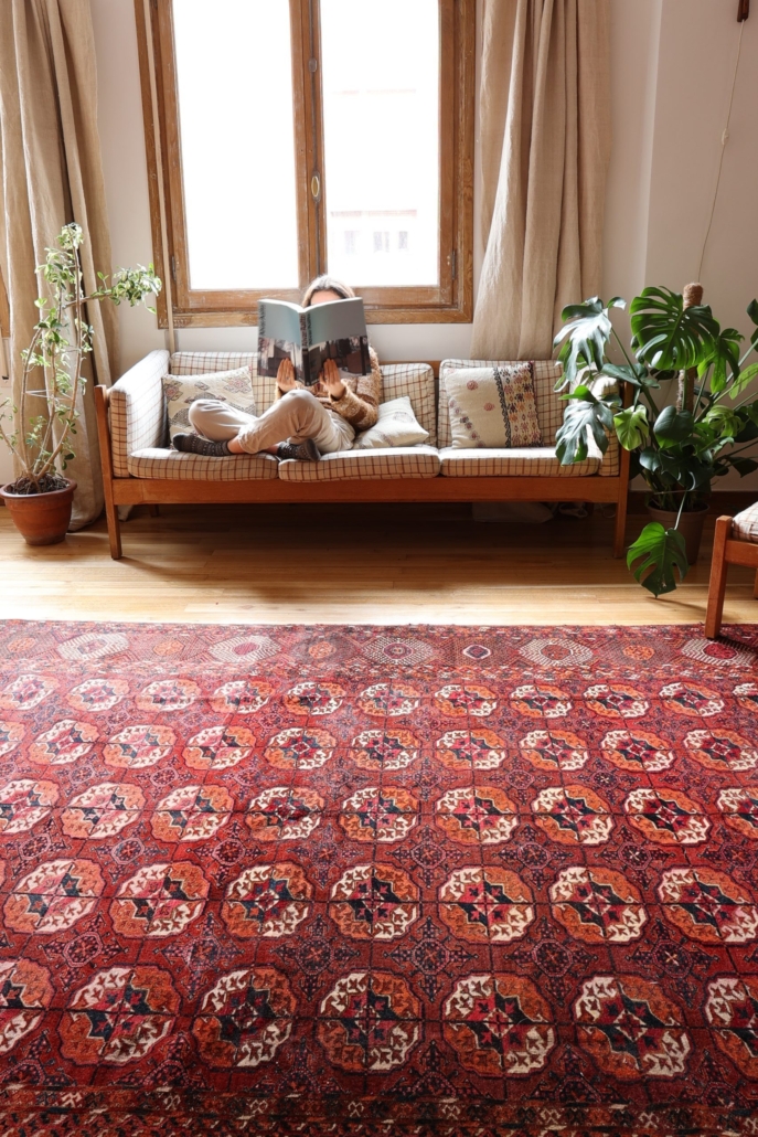 L-A2302006-e1700585097316-