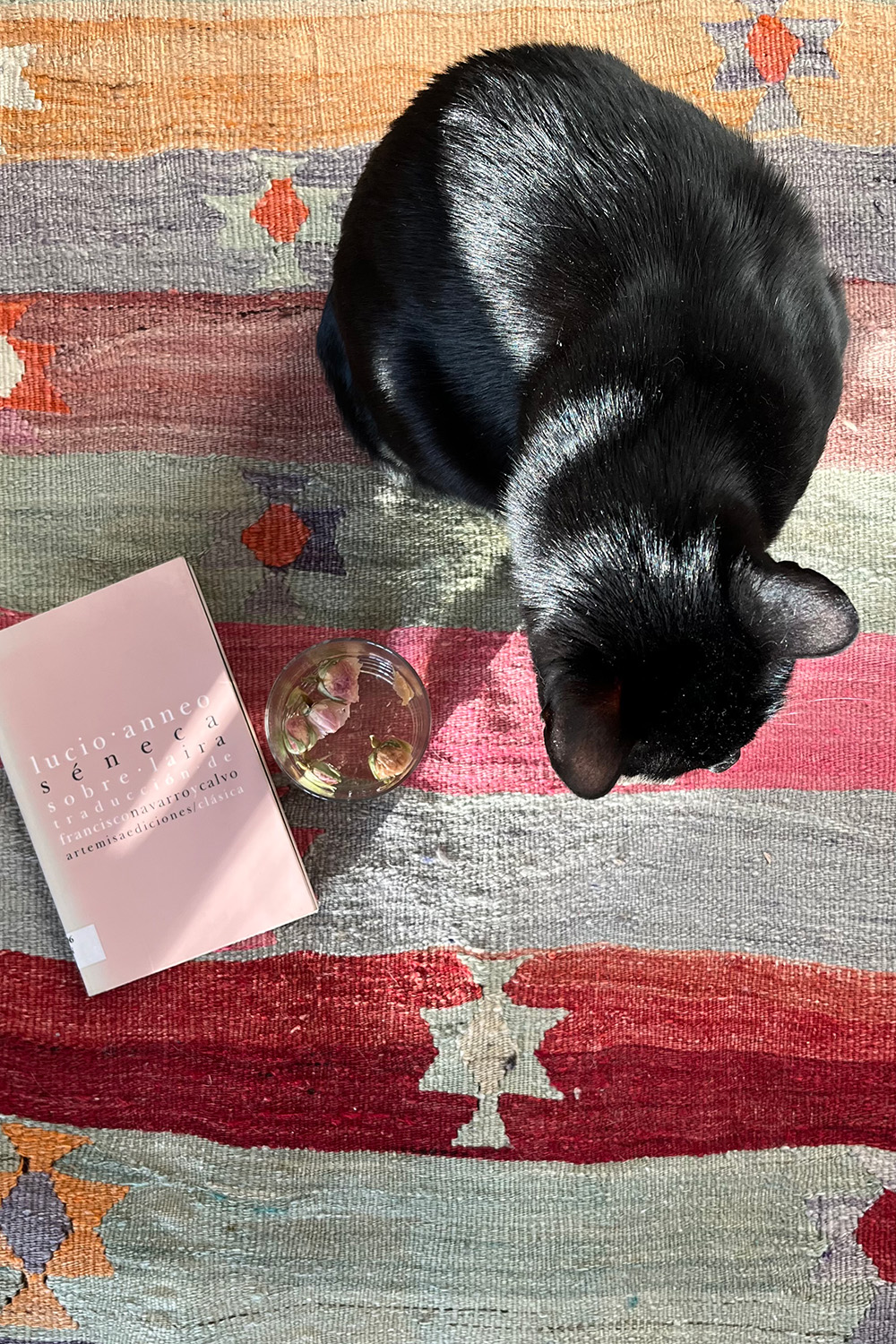 Semi-antique Elmali kilim from Turkey. 258x171 cms - Image 10