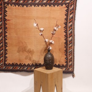 Semi-antique Afshar sofreh or kilim from Iran. 112x118 cms