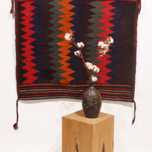 Kilim semi antiguo o sofreh Bakhtiari, Irán. 97x100 cms
