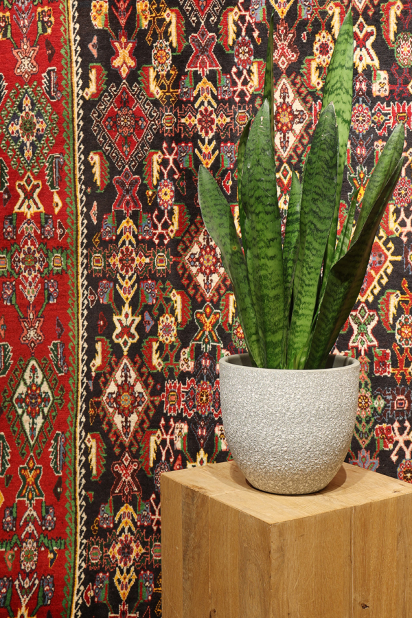 Alfombra vintage Kashkuli, Irán. 457x296 cms - Imagen 3