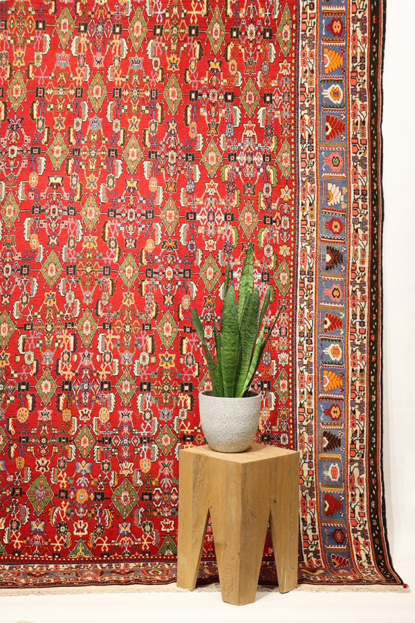 Vintage Kashkuli rug from Iran. 305x209 cms
