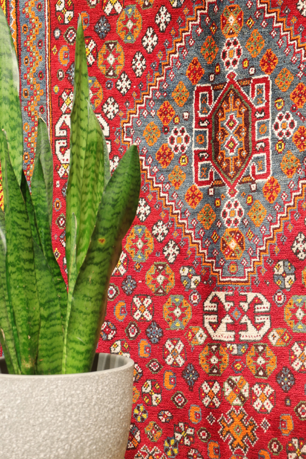 Semi-antique Qashqai rug from Iran. 255x152 cms - Image 3