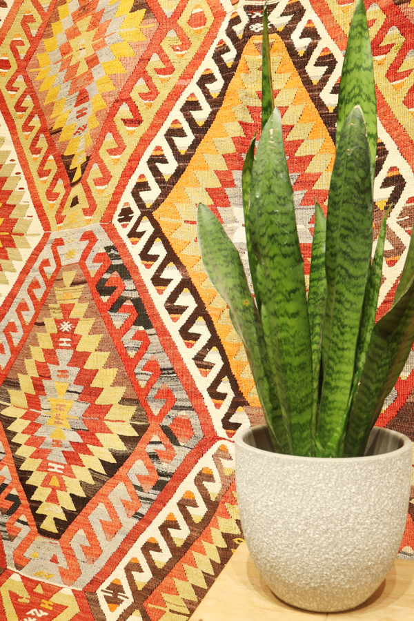 Kilim vintage de Denizli, Turquía. 305x183 cms - Imagen 3