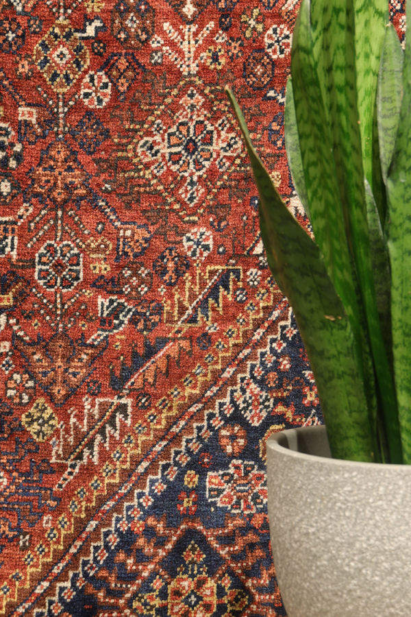 Antique Qashqai rug from Iran. 250x157 cms - Image 3