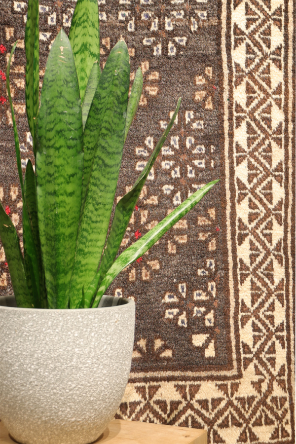 Semi-antique Baluch rug from Afghanistan. 261x170 cms - Image 3