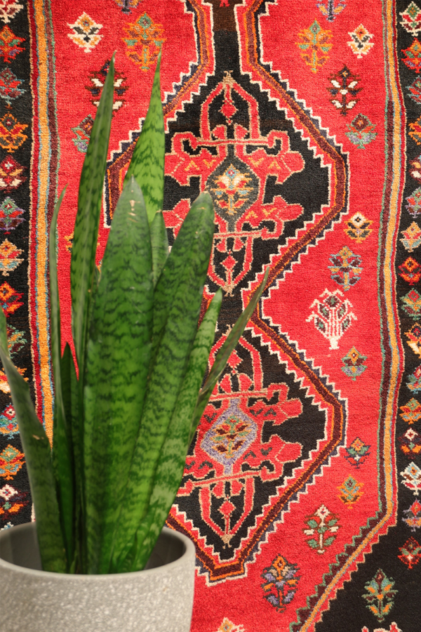 Alfombra pasillera de Shiraz, Irán. 257x87 cms - Imagen 3