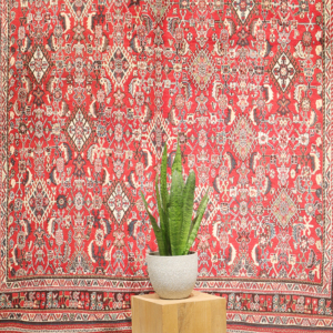 Vintage Kashkuli rug from Iran. 246x170 cms