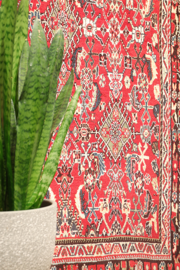 Alfombra vintage Kashkuli, Irán. 246x170 cms - Imagen 3