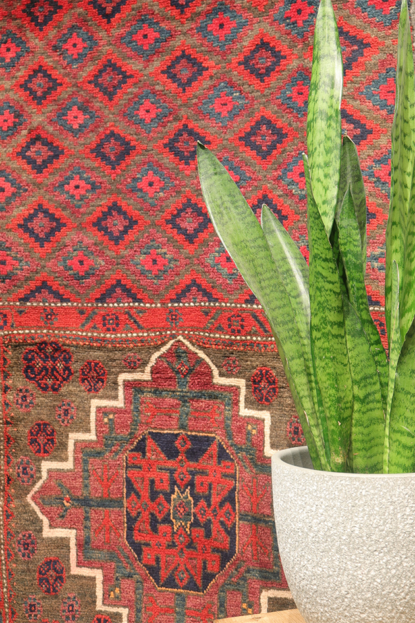 Alfombra pasillera Baluch, Irán. 280x69 cms - Imagen 3