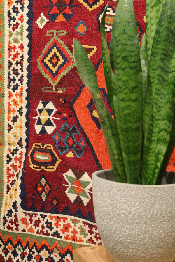 Antique Qashqai kilim from Iran. 293x162 cms - Image 3