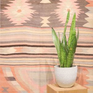 Vintage Aksehir prayer kilim from Turkey. 193x106 cms