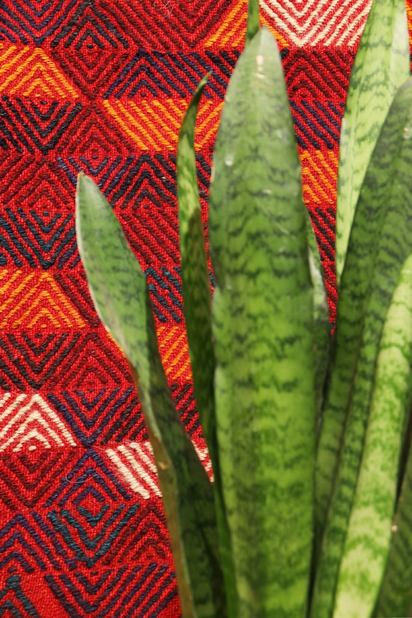 Kilim Shiraki vintage Árabe, Irán. 163x135 cms - Imagen 3