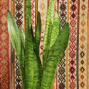 Kilim antiguo de Elbistan, Turquía. 190x130 cms