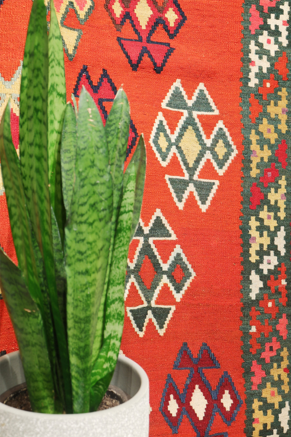 Semi-antique Qashqai kilim from Iran. 273x141 cms - Image 3