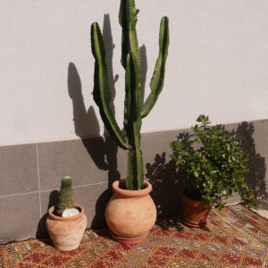 Semi-antiqueKuccuklu kilim from Turkey, 200x150 cms