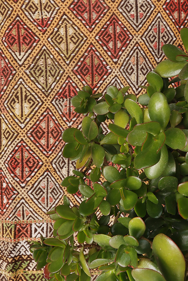 Kilim semi antiguo Kuccuklu de Turquía, 200x150 cms - Imagen 4