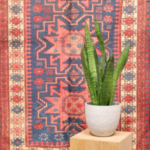 Semi-antique rug from Turkey. 177x103 cms