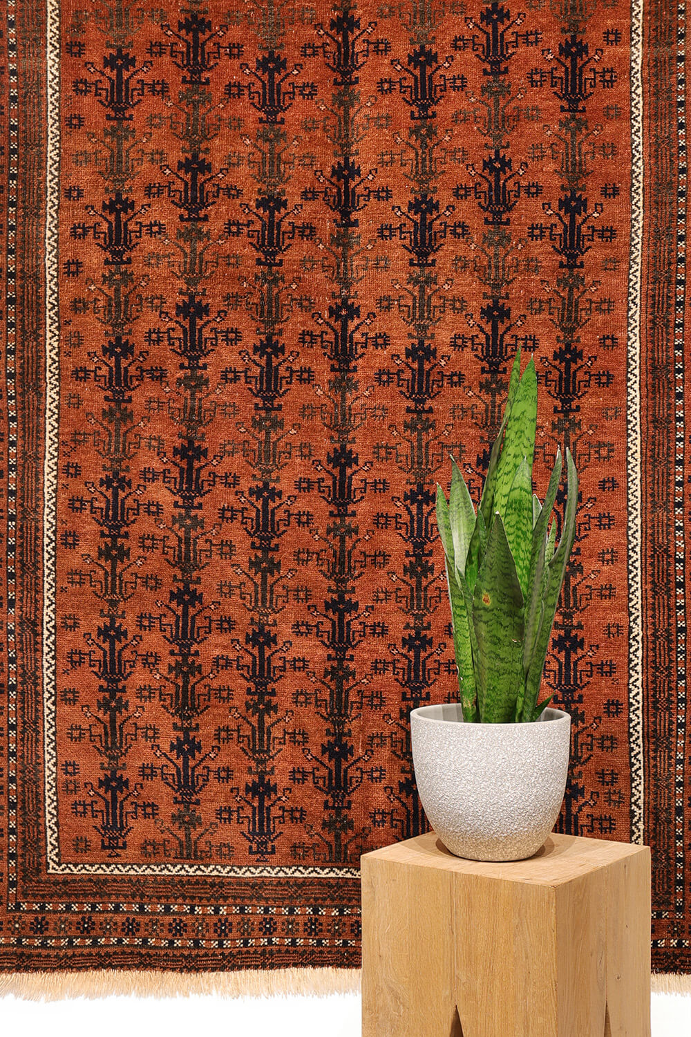 Antique Baluch rug from Sistan, Afghanistan. 188x123 cms