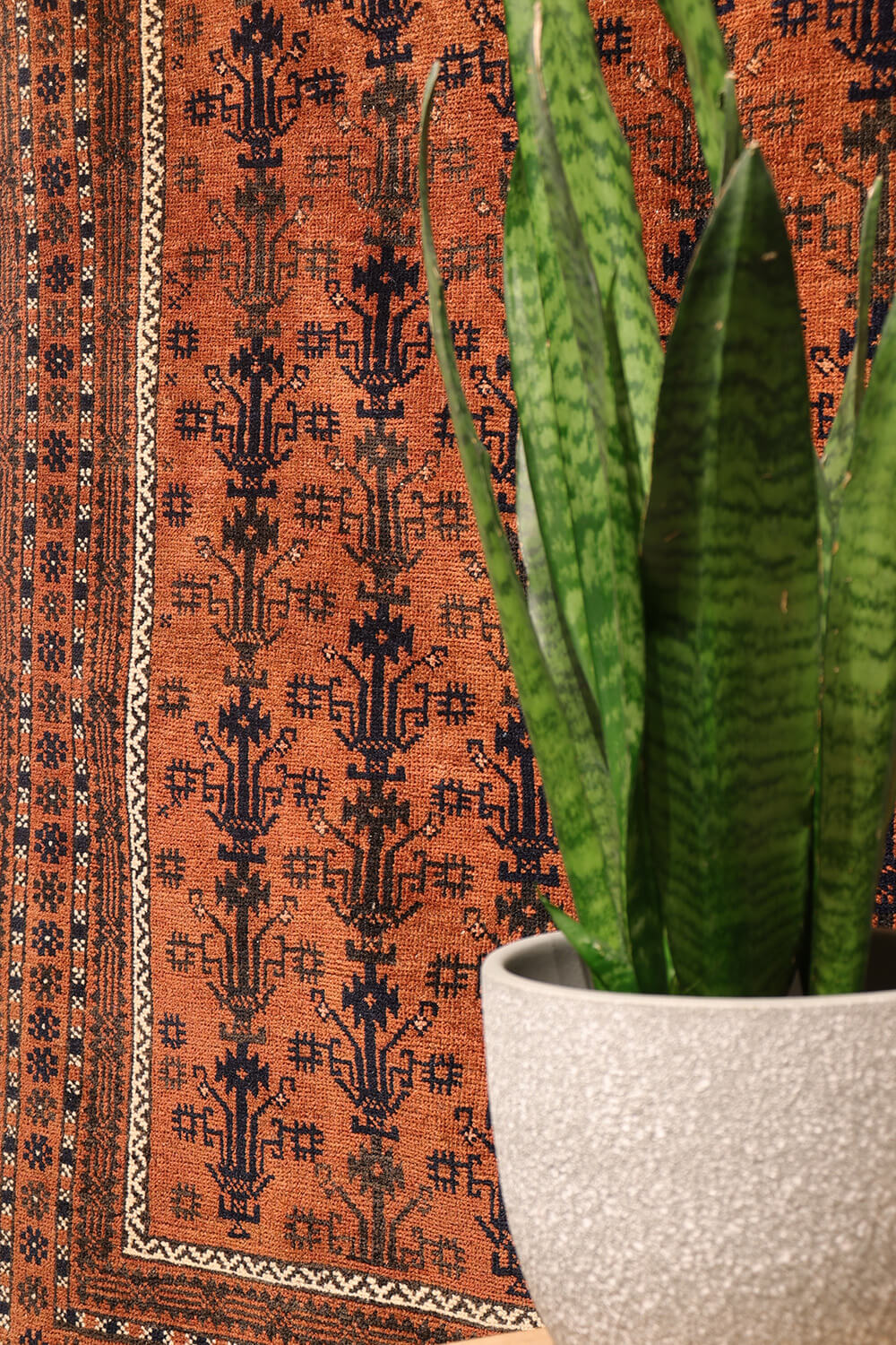 Antique Baluch rug from Sistan, Afghanistan. 188x123 cms - Image 3