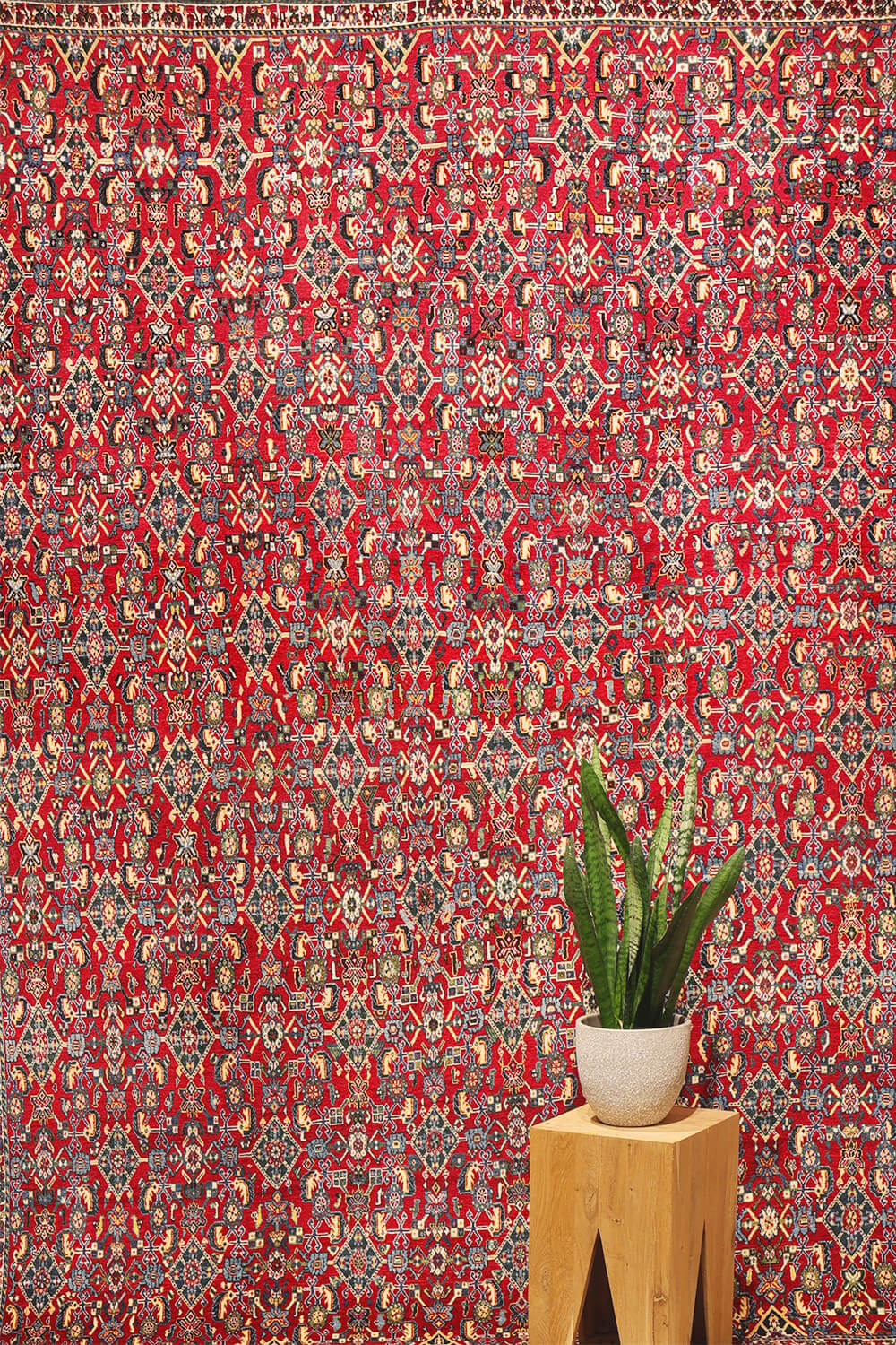 Alfombra Kashkuli semi antigua , Irán. 320x221 cms