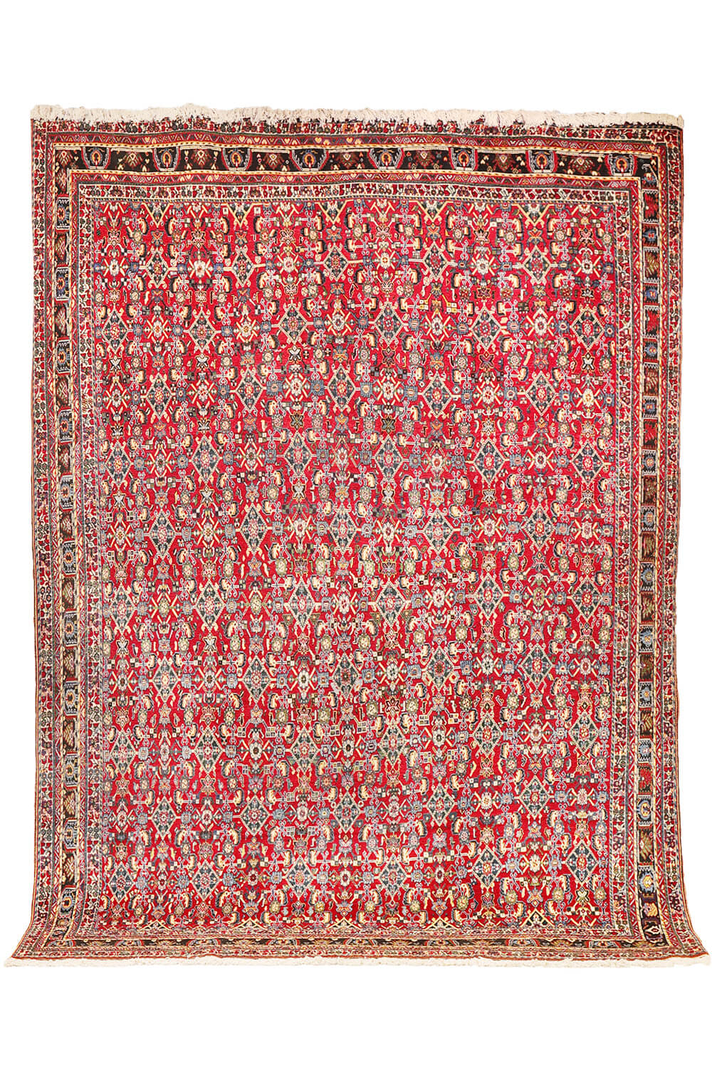 Alfombra Kashkuli semi antigua , Irán. 320x221 cms - Imagen 2